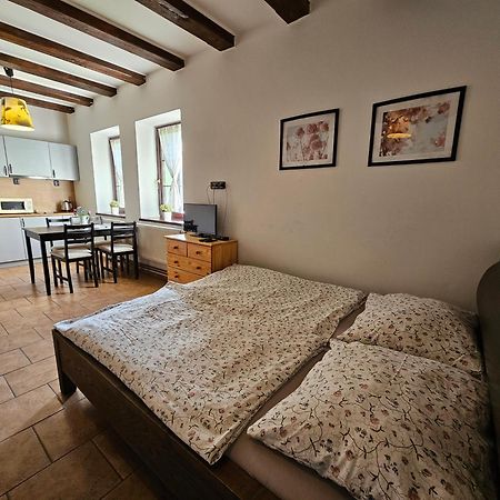 Apartmanove Ubytovani V Koutech Loucna nad Desnou Exterior photo
