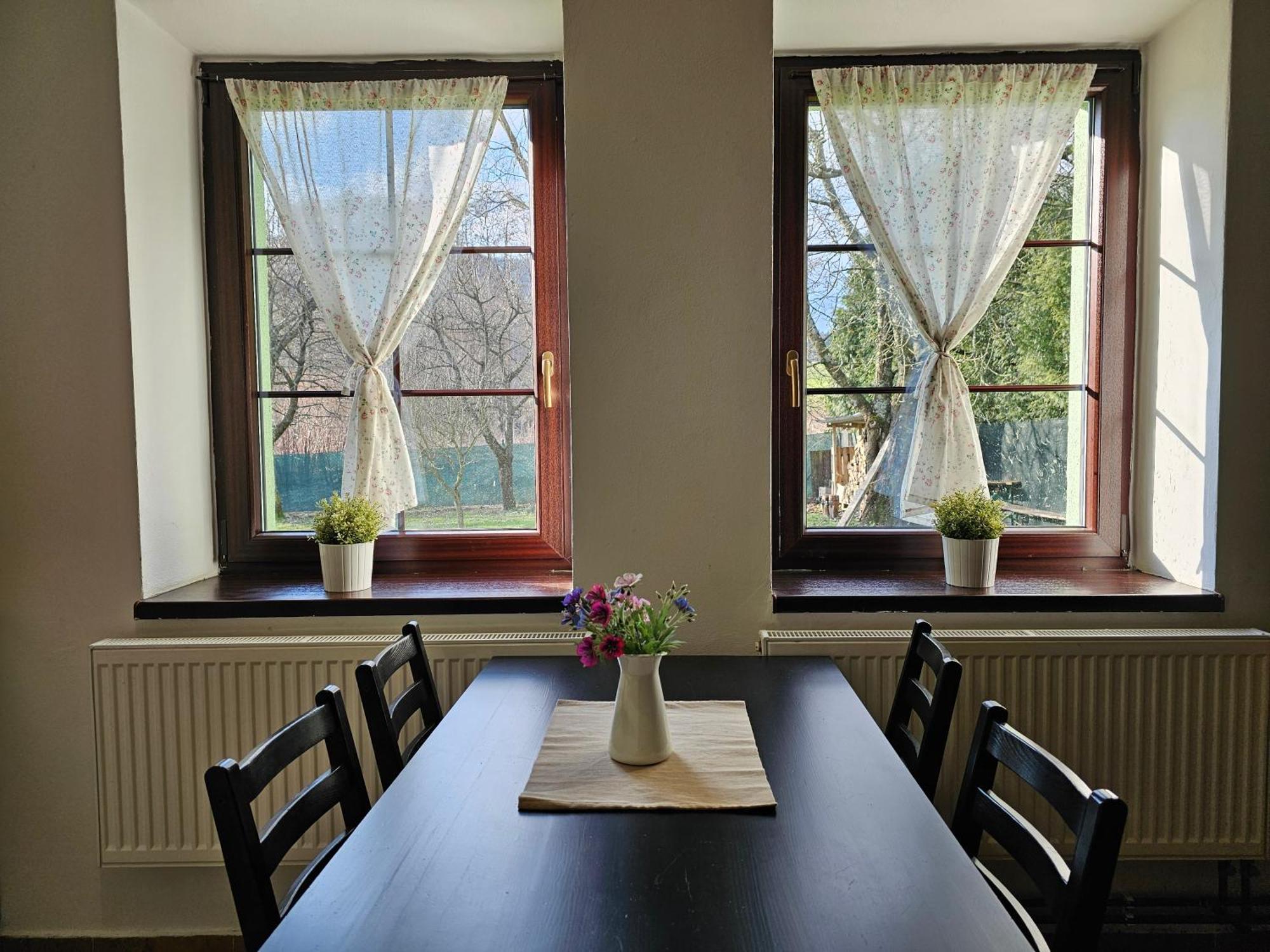 Apartmanove Ubytovani V Koutech Loucna nad Desnou Exterior photo